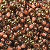 Glass Seed Beads X1-SEED-H002-B-D204-3