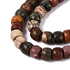 Natural Picasso Jasper/Polychrome Jasper Beads Strands G-Q616-02A-06-4