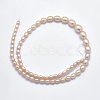 Natural Cultured Freshwater PearlBeads Strands PEAR-K003-21A-2