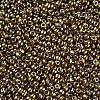 8/0 Glass Seed Beads X1-SEED-A009-3mm-601-2