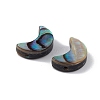 Natural Abalone Shell/Paua Shell Beads SSHEL-M021-05-3