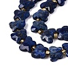 Dyed Natural Lapis Lazuli Beads Strands G-N371-10A-02-4
