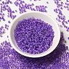 8/0 Transparent Glass Seed Beads SEED-F003-03B-09-2