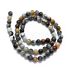 Natural Eagle Eye Stone Beads Strands G-K245-A09-02-2