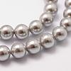 Shell Pearl Beads Strands BSHE-L026-05-8mm-4