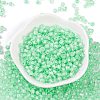 Glass Seed Beads SEED-A032-05E-2