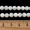 Natural Sea Shell Beads Strands SSHEL-K013-6mm-A-4