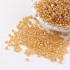 Round 8/0 Glass Seed Beads X-SEED-A006-3mm-102-1