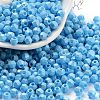 Baking Paint Glass Seed Beads X1-SEED-A032-02G-1