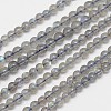 Natural Labradorite Round Bead Strands G-M263-A-03-1