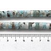 Natural Larimar Beads Strands G-Q024-B03-05-5