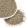 Plated 3/0 Glass Seed Beads SEED-Q025-2mm-D03-1