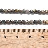 Natural HuBei Turquoise Beads Strands G-G140-A05-05-4
