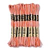 10 Skeins 6-Ply Polyester Embroidery Floss OCOR-K006-A35-1