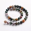 Round Natural Indian Agate Gemstone Bead Strands G-J333-07-10mm-2