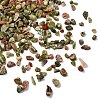 Natural Unakite Chip Beads G-O103-14-5