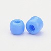 (Repacking Service Available) Glass Seed Beads SEED-C019-2mm-43B-2