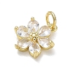 Brass with Rhinestone Charms LS-KK-CBAD872-01G-09-2