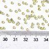 Glass Seed Beads X-SEED-S042-04A-02-4