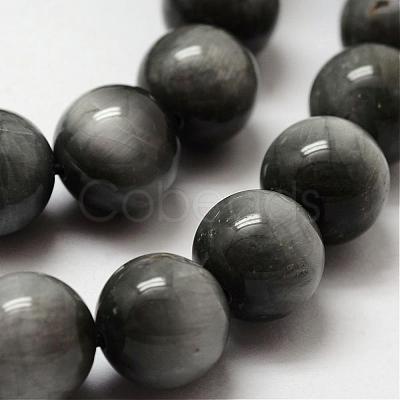 Natural Hawk's Eye Round Beads Strands G-O143-01-12mm-1