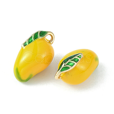 Brass Enamel Charms KK-G462-38LG-1