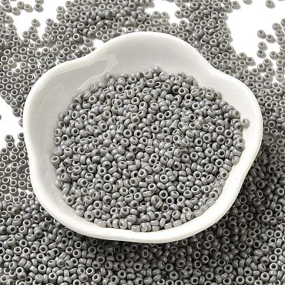 Baking Paint Glass Seed Beads SEED-P006-03A-28-1