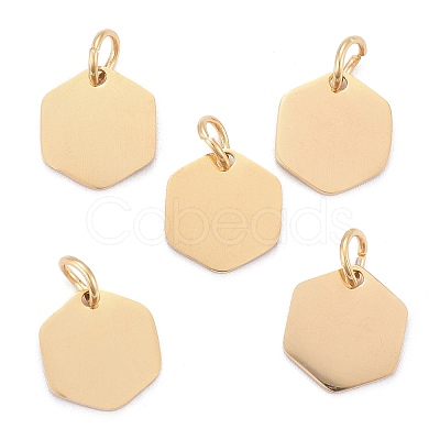 201 Stainless Steel Charms LS-STAS-S105-T626-2-1
