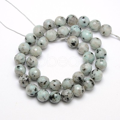 Natural Sesame Jasper/Kiwi Jasper Beads Strands G-L147-8mm-01-1