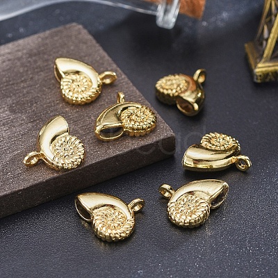 Alloy Pendants TIBEP-A040-055G-NR-1