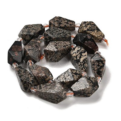 Natural Snowflake Obsidian Beads Strands G-NH0005-B03-01-1