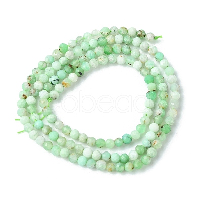 Natural Chrysoprase Beads Strands G-F748-X01-02B-1