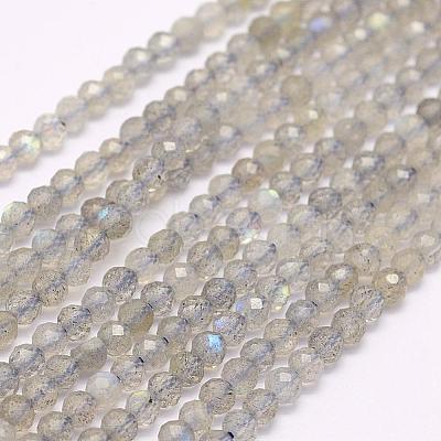 Natural Labradorite Beads Strands G-F509-03-3mm-1