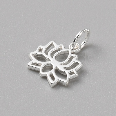 Brass Charms LS-FIND-WH0159-63S-05-1