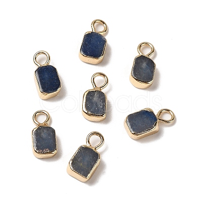 Dyed & Heated Natural Blue Aventurine Rectangle Charms G-Q169-07G-07-1