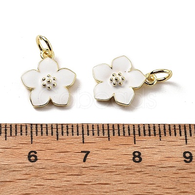 Brass Enamel Charms KK-Z114-23G-02-1