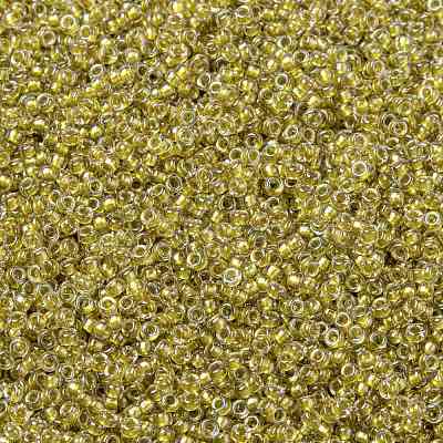 MIYUKI Round Rocailles Beads X-SEED-G009-RR1125-1