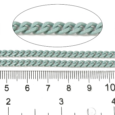 Spray Painted 304 Stainless Steel Curb Chains STAS-B067-05B-01-1
