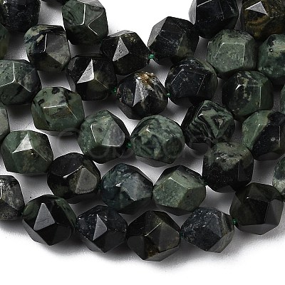 Natural Kambaba Jasper Beads Strands G-Z119-A20-01-1