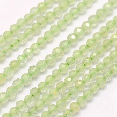 Natural Prehnite Beads Strands G-F509-30-2mm-1