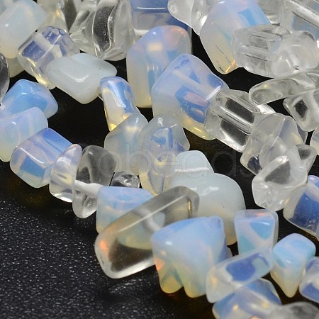 Chip Opalite Beads Strands X-G-N0134-15-1