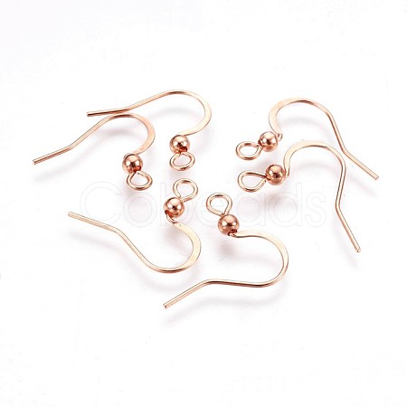316 Surgical Stainless Steel Earring Hooks X-STAS-P220-13RG-1