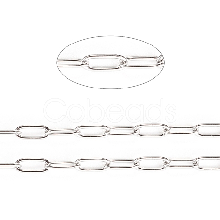 Tarnish Resistant 304 Stainless Steel Paperclip Chains CHS-F010-01D-P-1