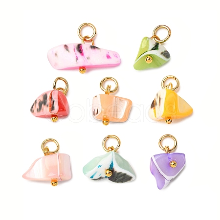 Dyed Natural Trochid Shell/Trochus Shell Pendants PALLOY-JF04484-01-1