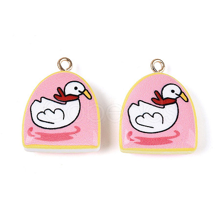 Printed Acrylic Pendants OACR-T030-43B-1