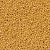 MIYUKI Delica Beads SEED-MY11-DB0651-3