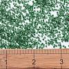 MIYUKI Delica Beads SEED-JP0008-DB1894-4
