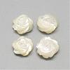 Natural White Shell Mother of Pearl Shell Cabochons SSHEL-R042-11-1