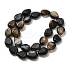 Natural Black Agate(Dyed & Heated) Beads Strands G-P561-B13-01-3