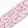 Natural Freshwater Shell Beads Strands SHEL-N003-25-B06-1