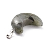 Natural Labradorite Pendants G-Z022-02A-3